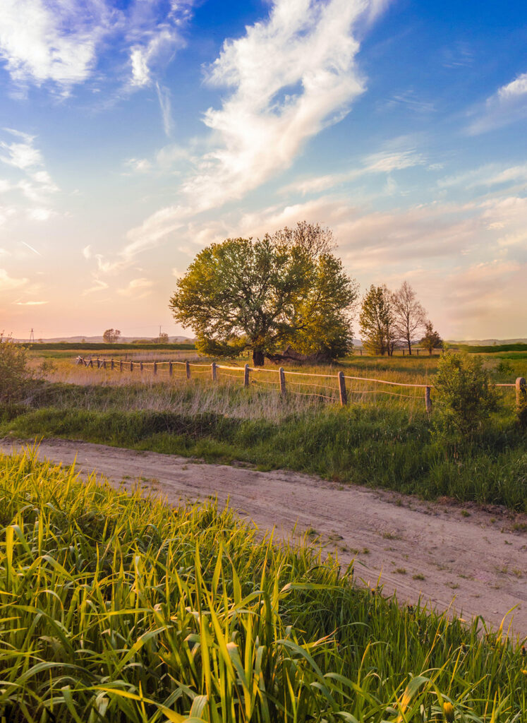 Farmland in Rural Michigan